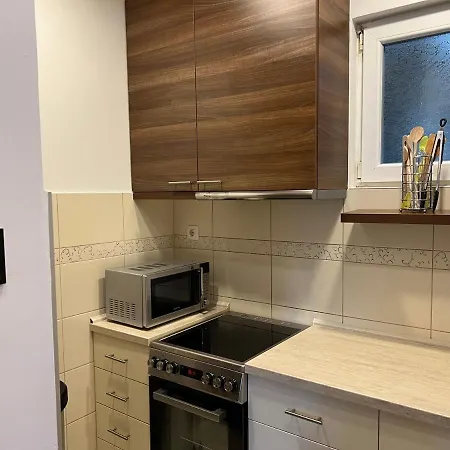 Vracar Apartamento Belgrado